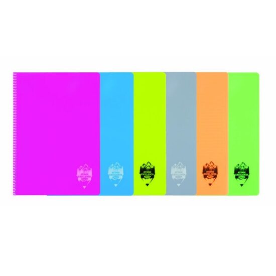 5+1 GRATIS! CAIET A4 144 FILE DICTANDO, COPERTA PLASTIC