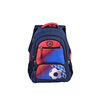 Ghiozdan 61492 ECADA 46 cm