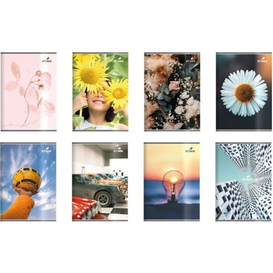 10+2 GRATIS! CAIET A5 100 FILE DICTANDO