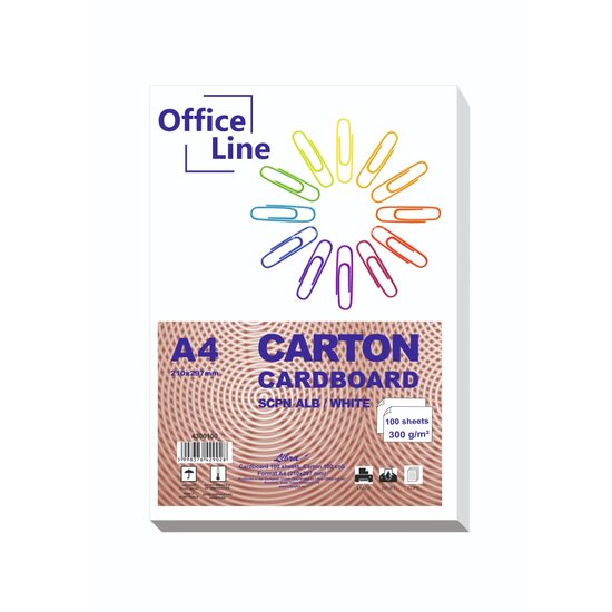 Carton A4 alb 300 gr top 100 coli 4300100