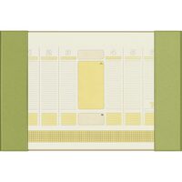 Mapă Birou Planner 38x56 cm Verde Apple