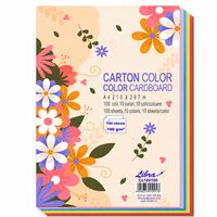 Carton Color A4 Mix 160g Set 100 Libra CC160100