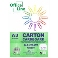 Carton alb A3 250 gr LUCIOS 100 coli/top