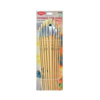 Pensula set 10 par porc DACO - PN10
