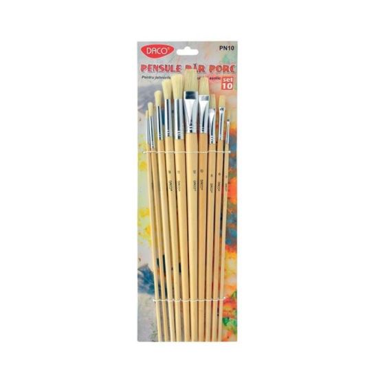 Pensula set 10 par porc DACO - PN10