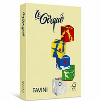 Carton color 160g/mp A4 - 100