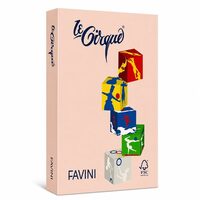 Carton color 160g/mp A4 - 103