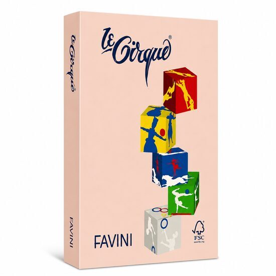 Carton color 160g/mp A4 - 103