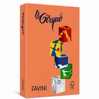 Carton color 160g/mp A4 - 205