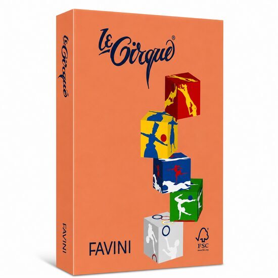 Carton color 160g/mp A4 - 205