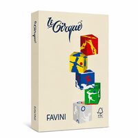 Carton color 160g/mp A4 - 110