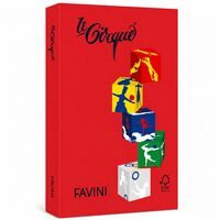 Carton color 160g/mp A4 - 209