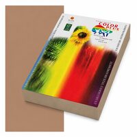 Carton color 160g/mp A4 Color Plus