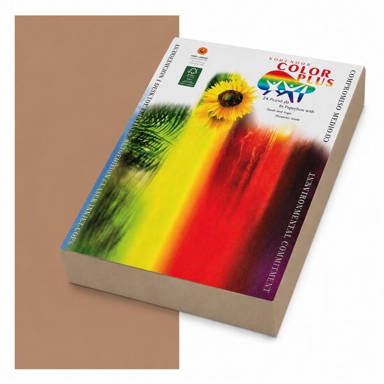 Carton color 160g/mp A4 Color Plus