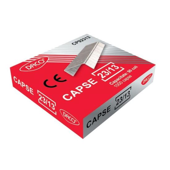 CAPSE 23/13 DACO