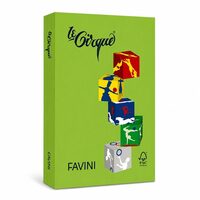 Carton color 160g/mp A4 - 203