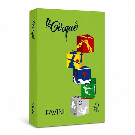 Carton color 160g/mp A4 - 203