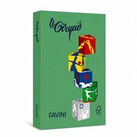Carton color 160g/mp A4 - 208