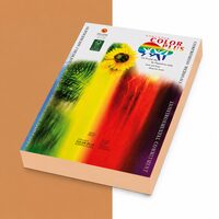 Carton color 160g/mp A4 Color Plus