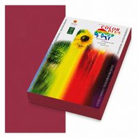 Carton color 160g/mp A4 Color Plus