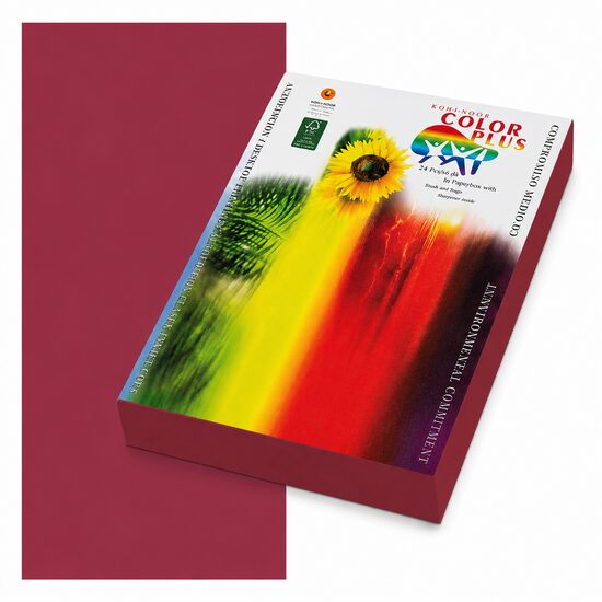 Carton color 160g/mp A4 Color Plus