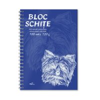 Bloc desen si schite A4 100 coli 120 g sp. coperti tari