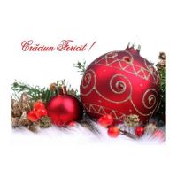 FELICITARE DMI 0064