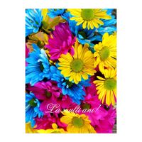 FELICITARE DMV 0080