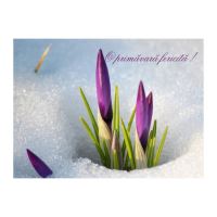 FELICITARE DMV 0072