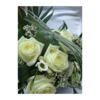 FELICITARE DMV 0045