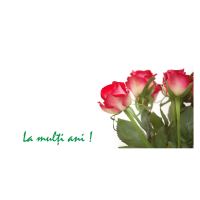 FELICITARE FLV 0027