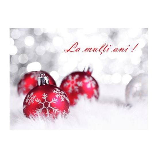 FELICITARE DMI 0036
