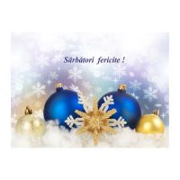 FELICITARE DMI 0095