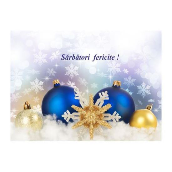 FELICITARE DMI 0095