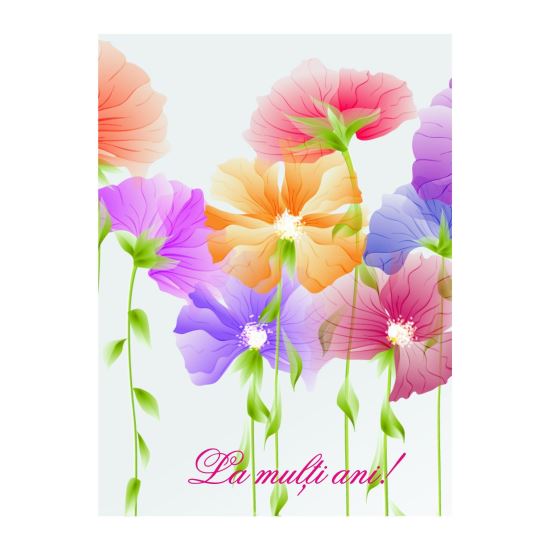 FELICITARE DMV 0087