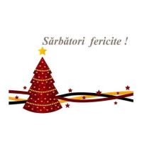 FELICITARE DMI 0007