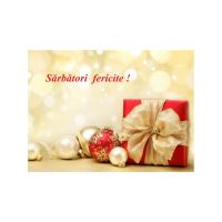 FELICITARE DMI 0038