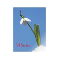 FELICITARE DMP 0050