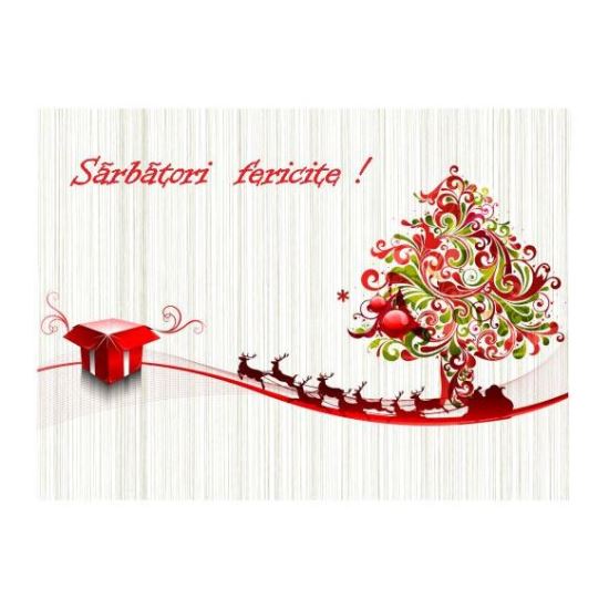 FELICITARE DMI 0058