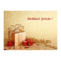 FELICITARE DMI 0051