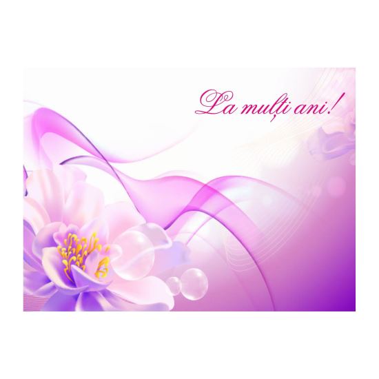FELICITARE DMV 0085