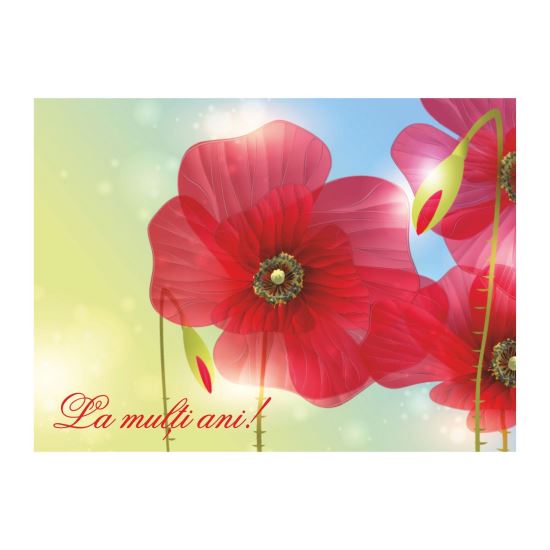 FELICITARE DMV 0088
