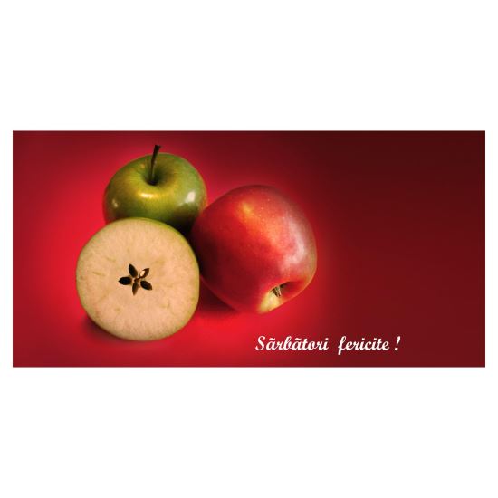 FELICITARE FLI 0009