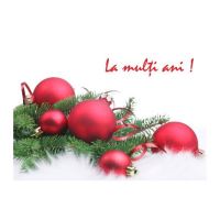 FELICITARE DMI 0043