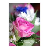 FELICITARE DMV 0084