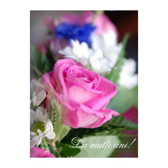 FELICITARE DMV 0084