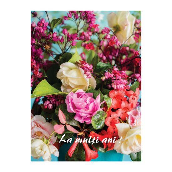 FELICITARE DMV 0056