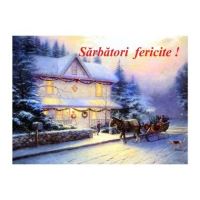 FELICITARE DMI 0016