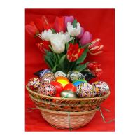 FELICITARE DMP 0057