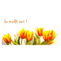 FELICITARE FLV 0021